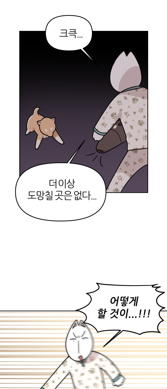 14 페이지