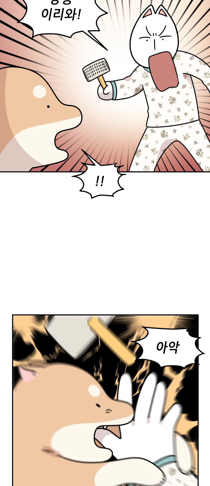10 페이지