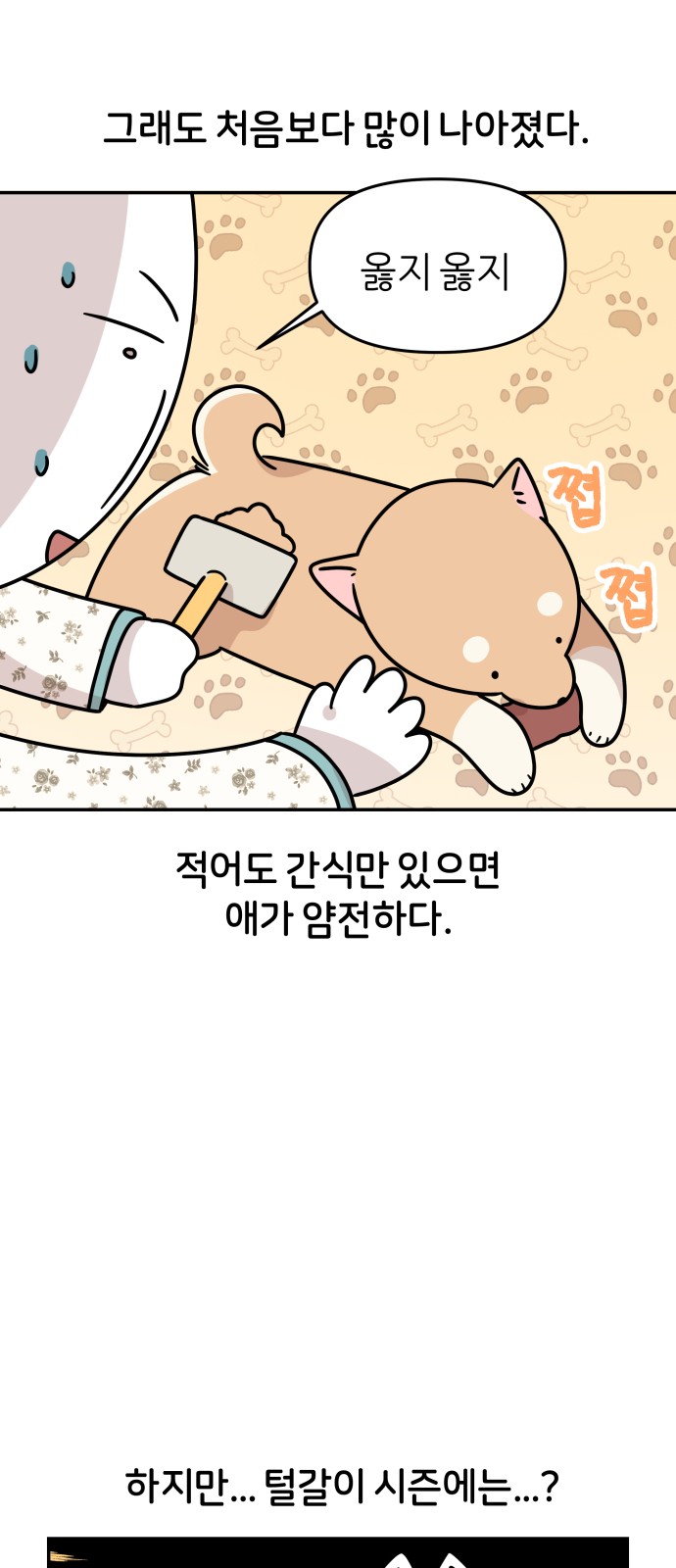 13 페이지