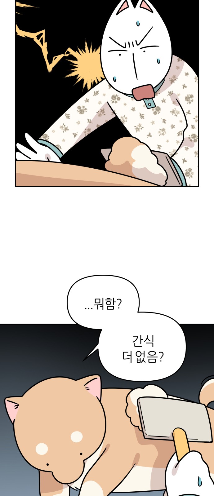 14 페이지
