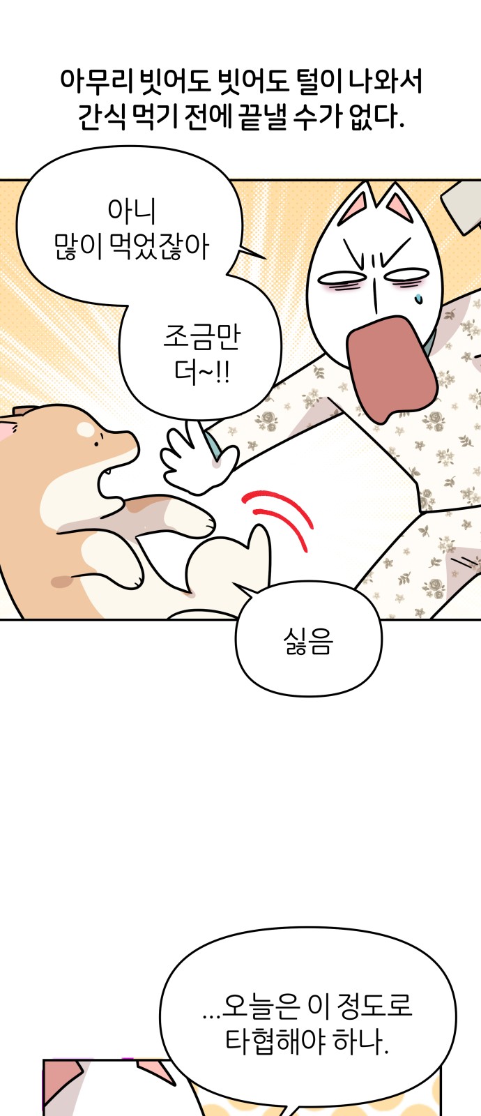 16 페이지