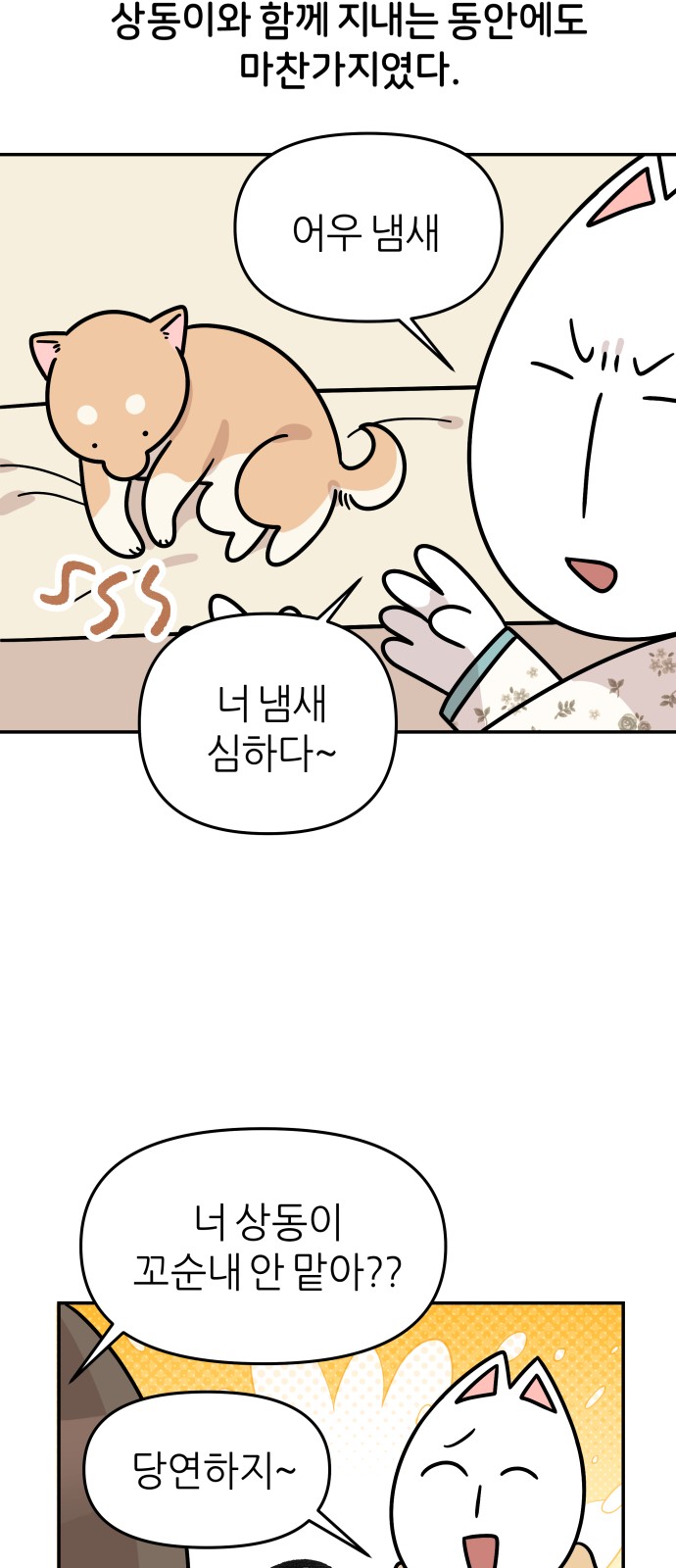 13 페이지