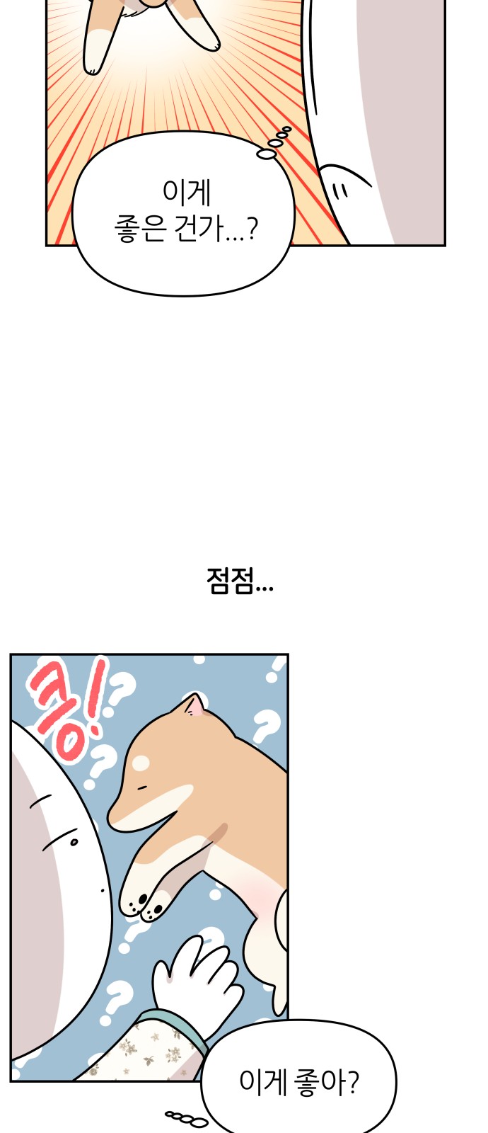 17 페이지