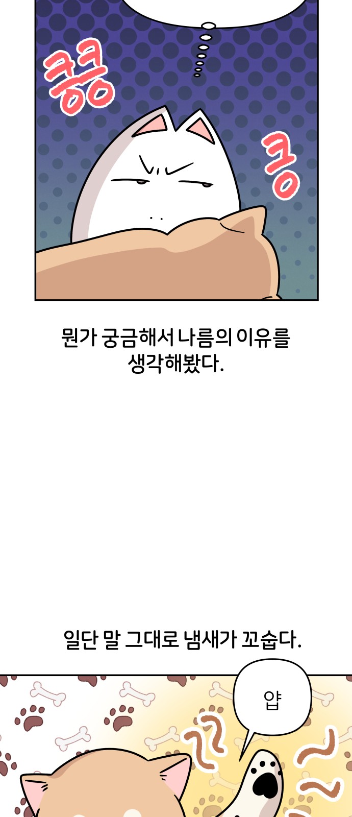 21 페이지