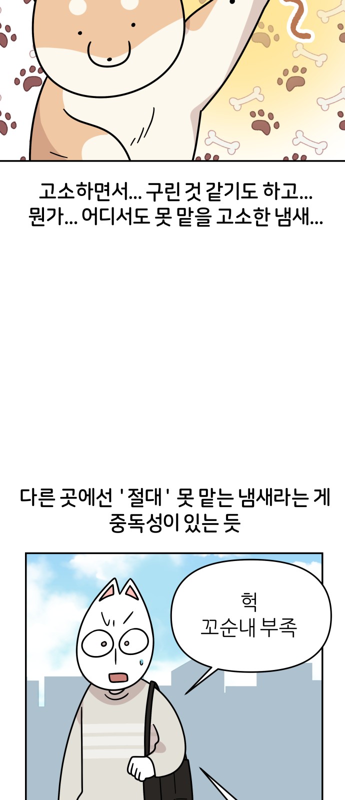 22 페이지