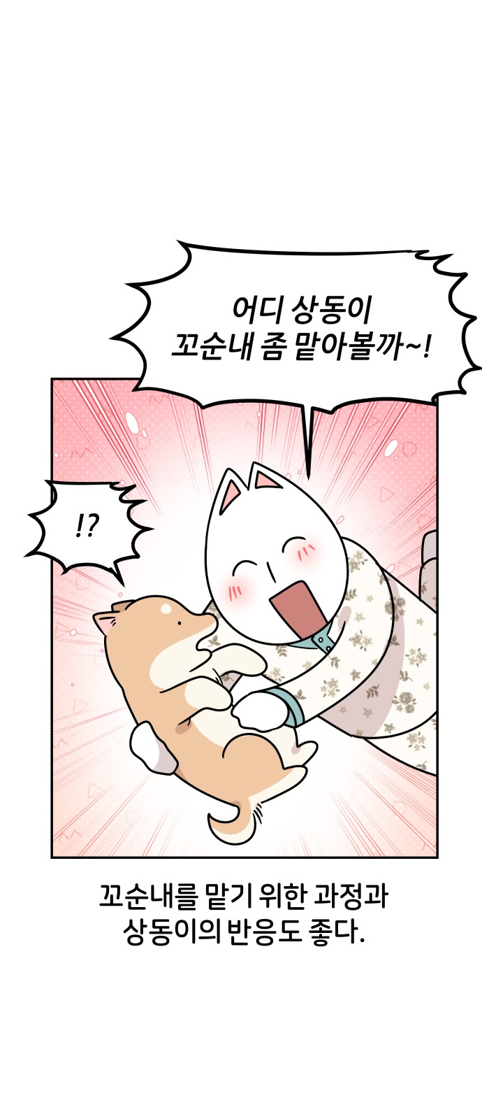 24 페이지