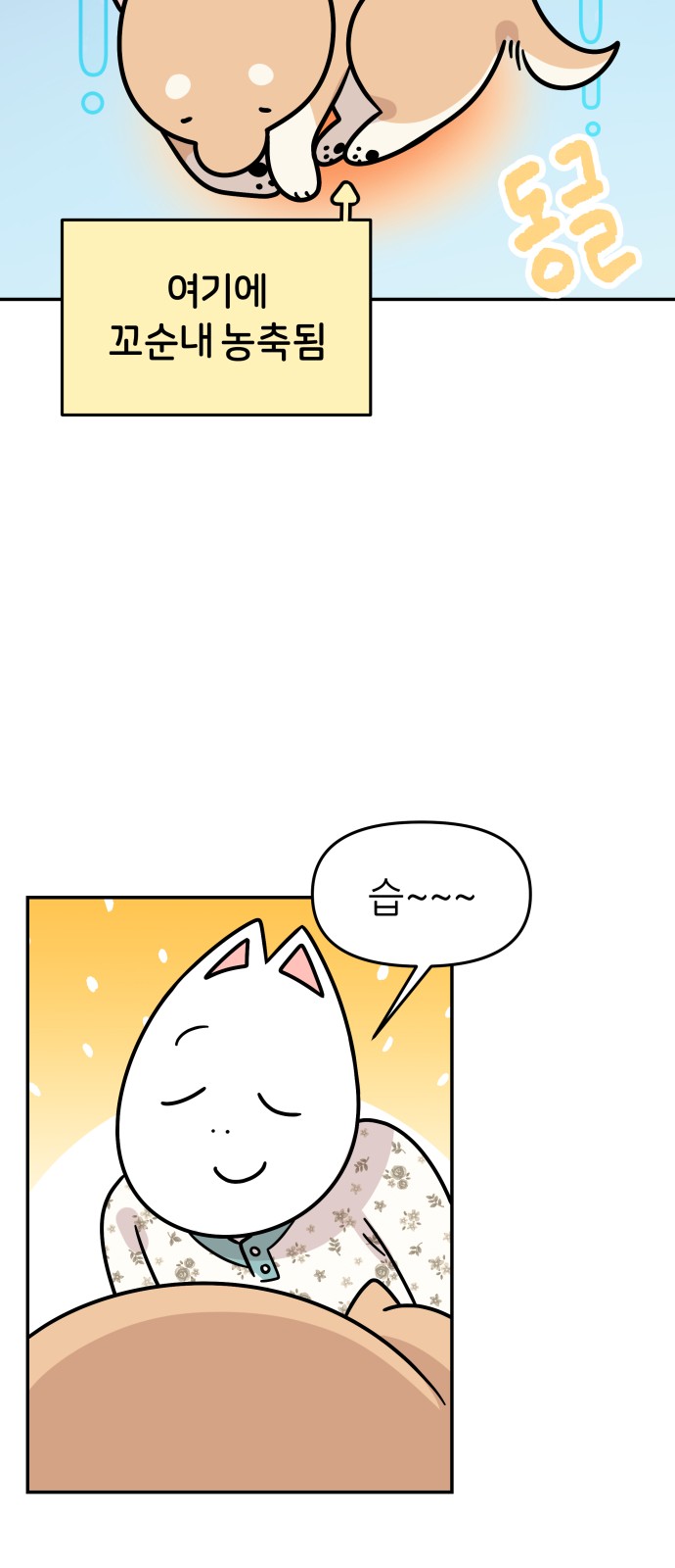 27 페이지