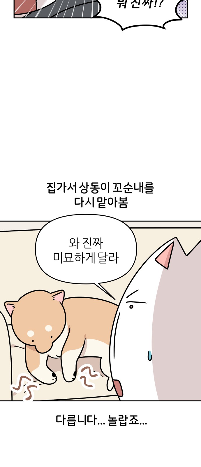 36 페이지