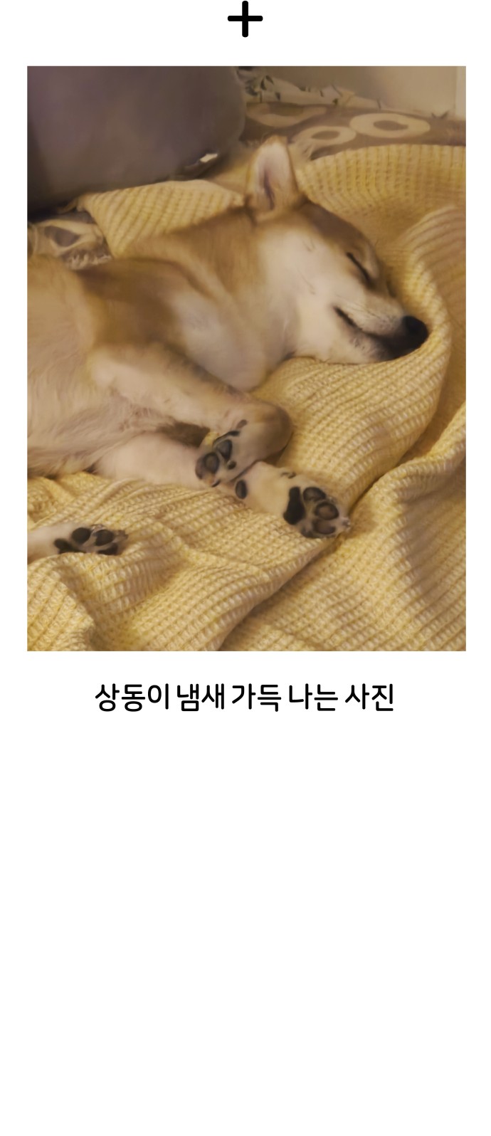 40 페이지