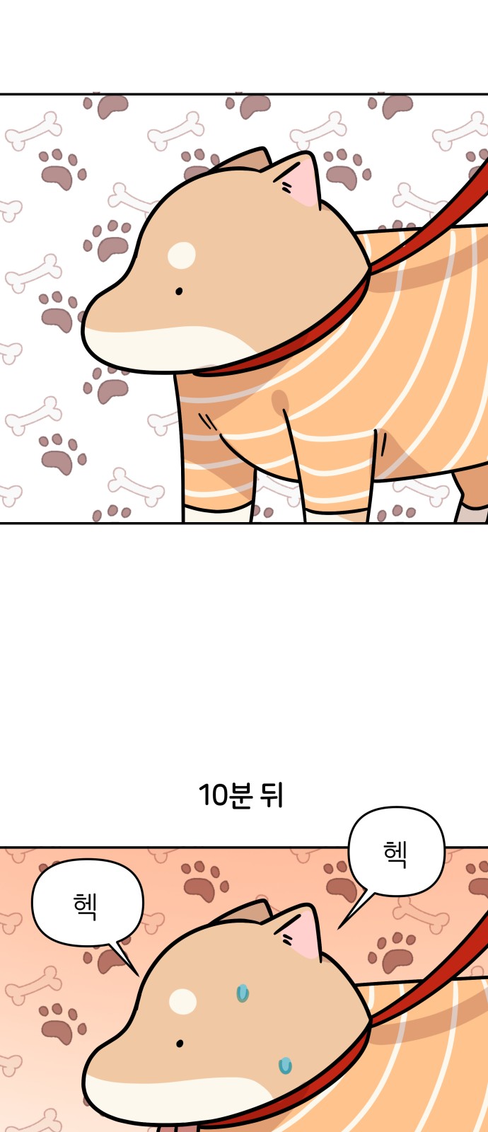 14 페이지