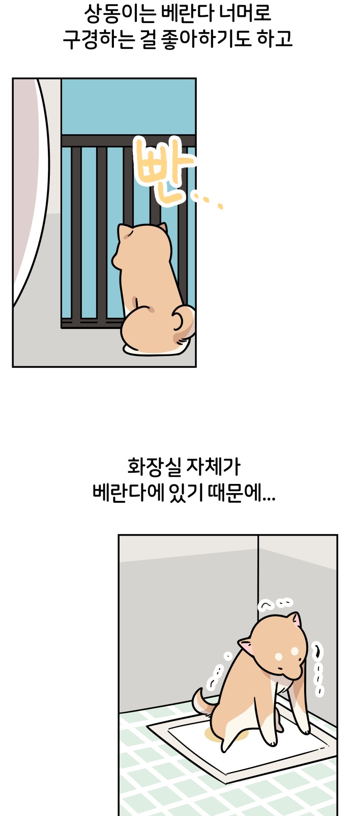 24 페이지