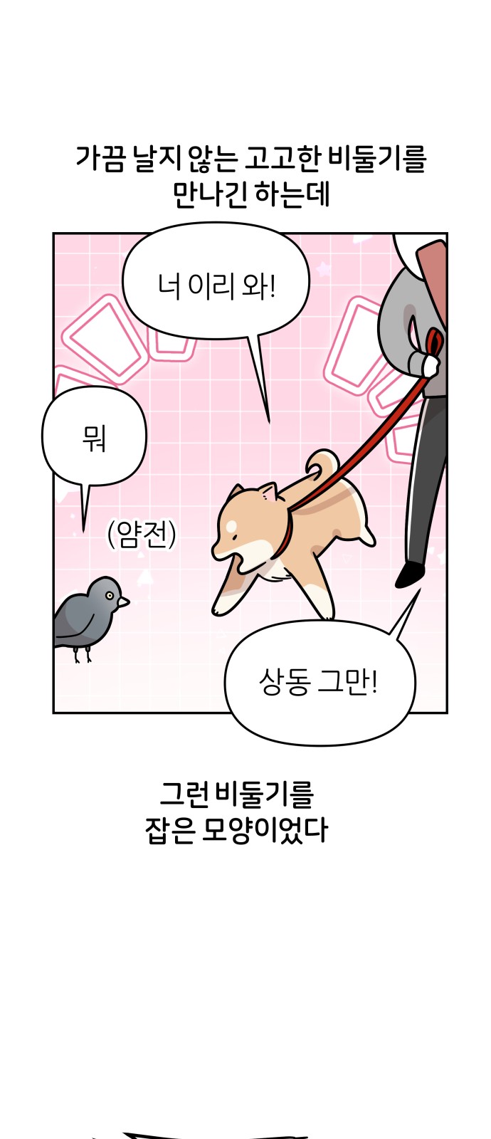 36 페이지