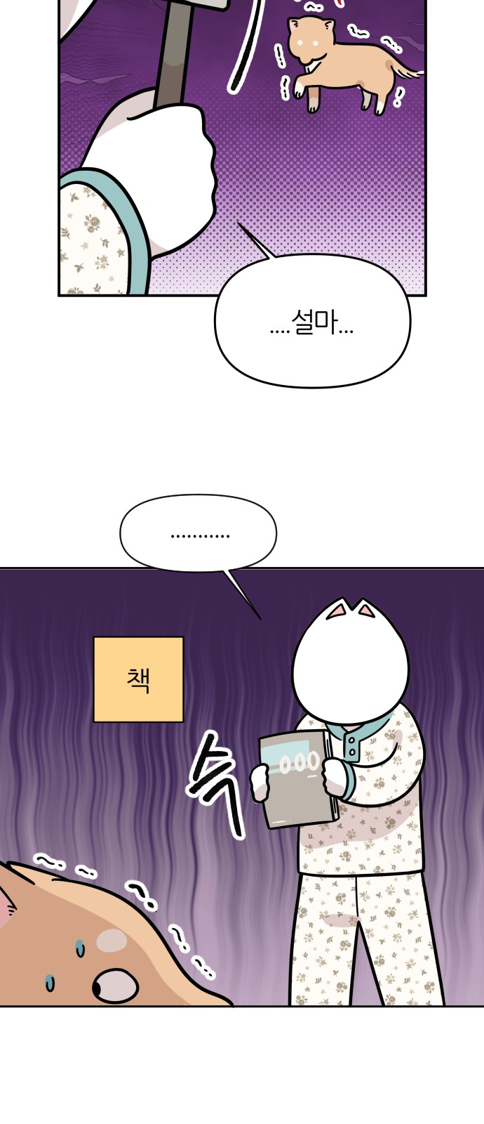 13 페이지