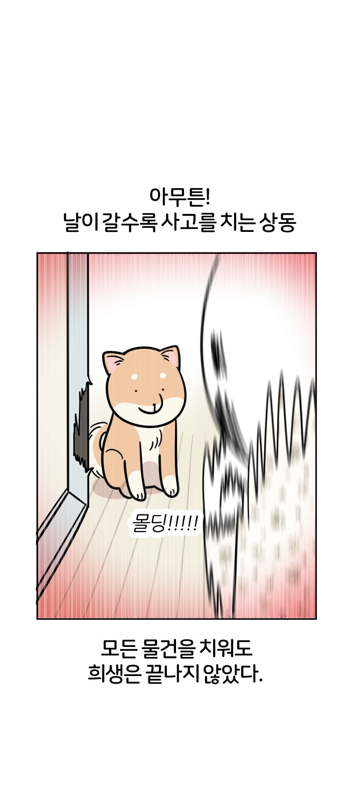 19 페이지