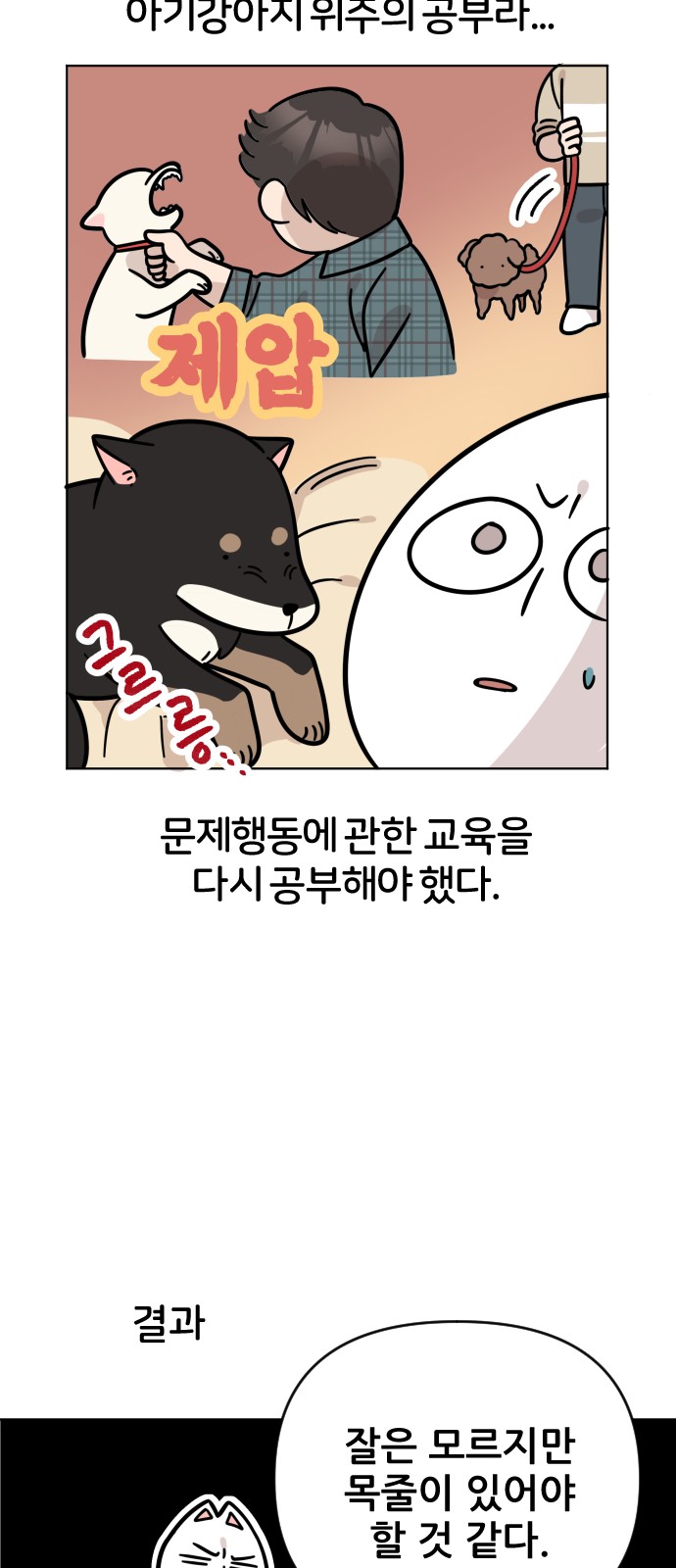 21 페이지