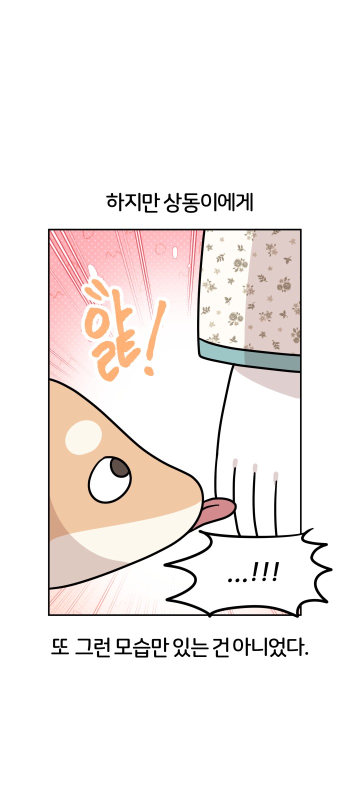 44 페이지