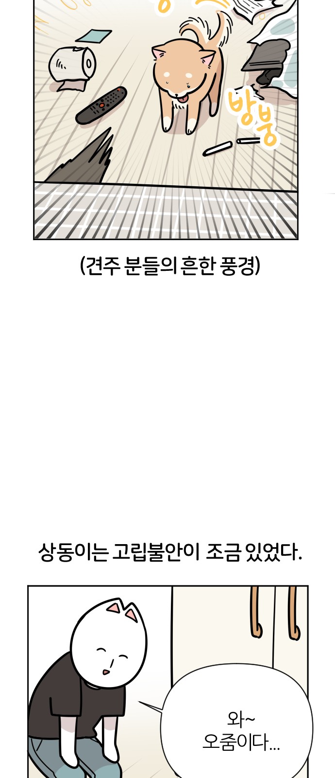 5 페이지