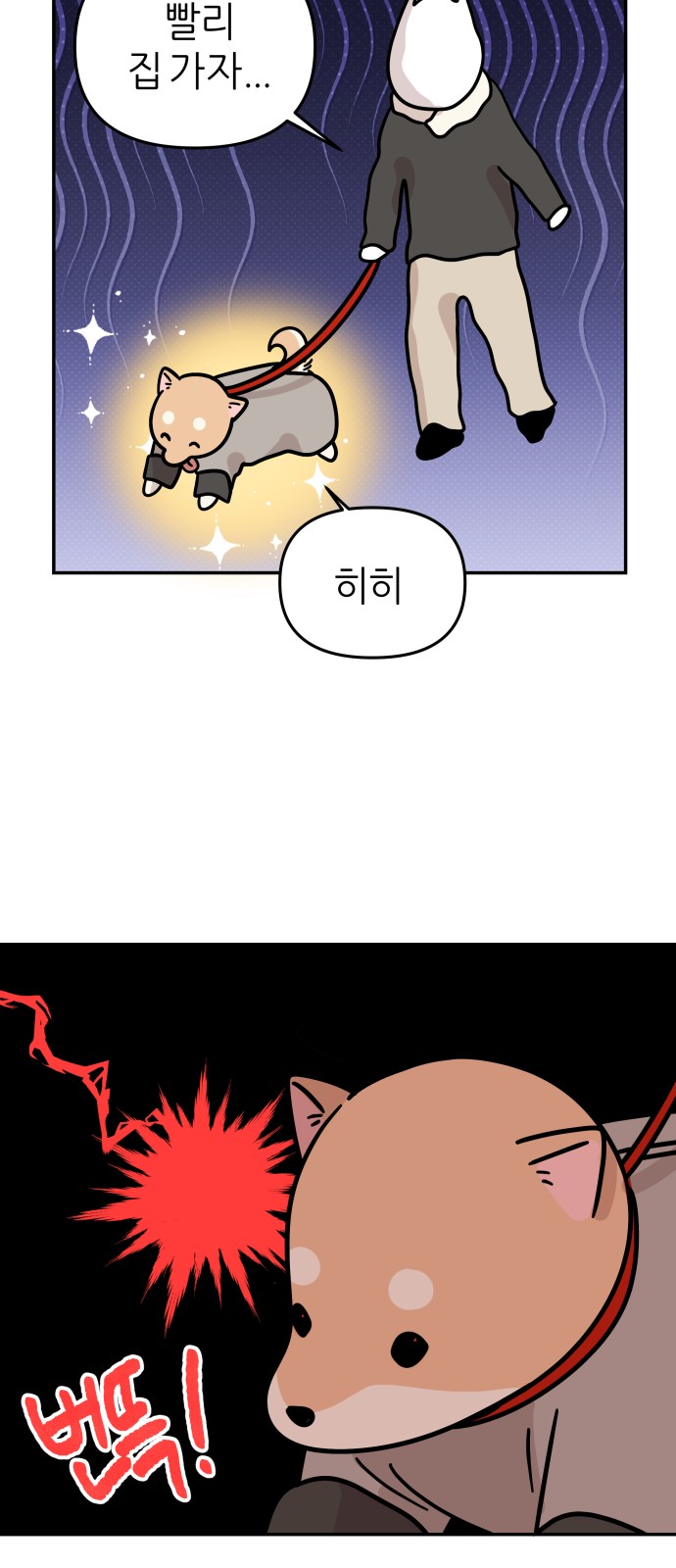 17 페이지