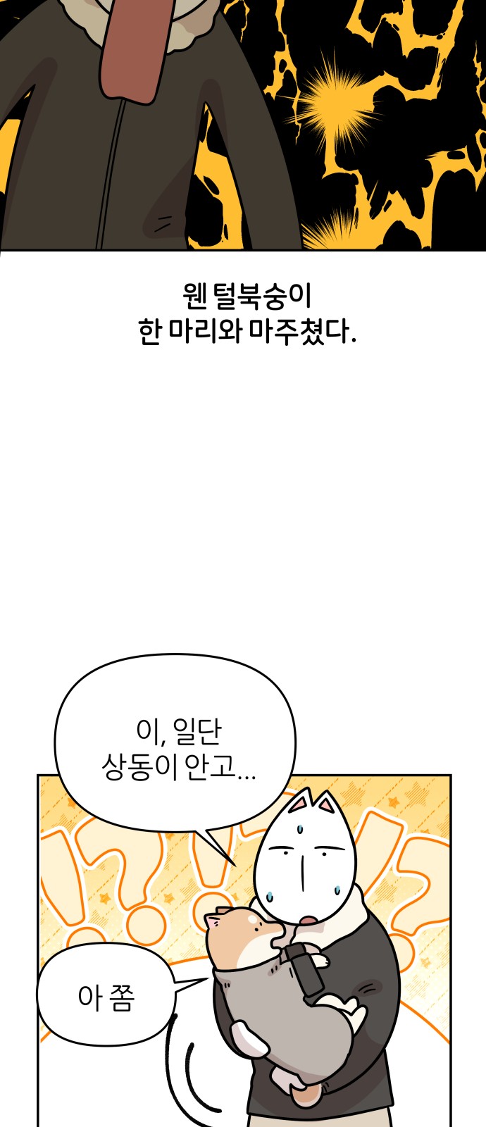 20 페이지