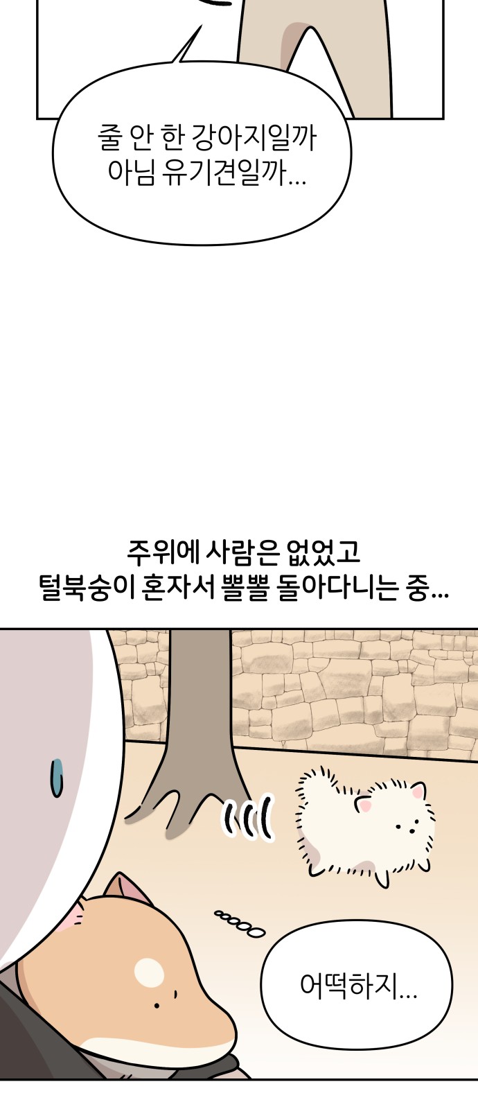 21 페이지
