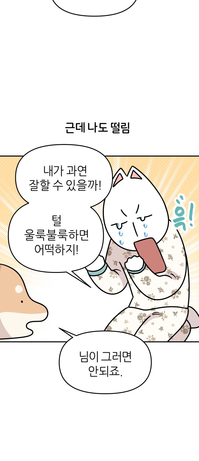 11 페이지