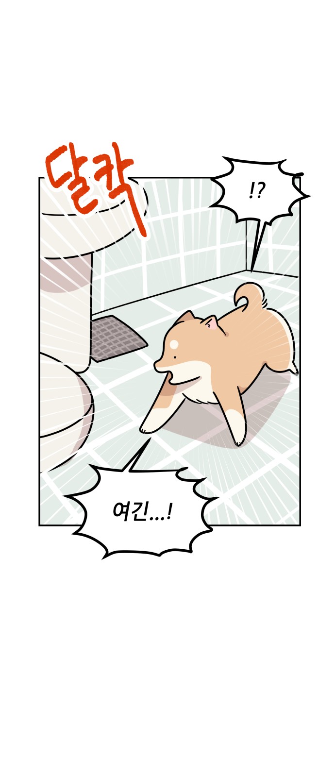 15 페이지