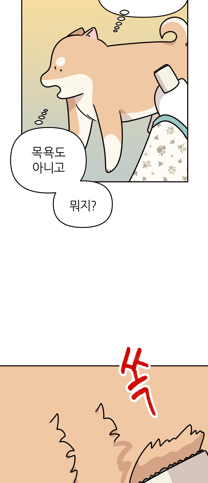 17 페이지