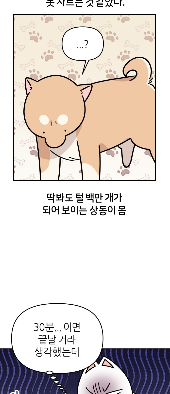 20 페이지