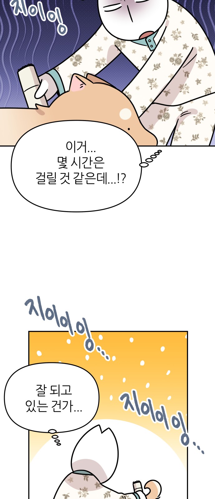 21 페이지
