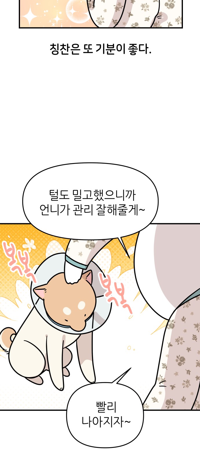 41 페이지