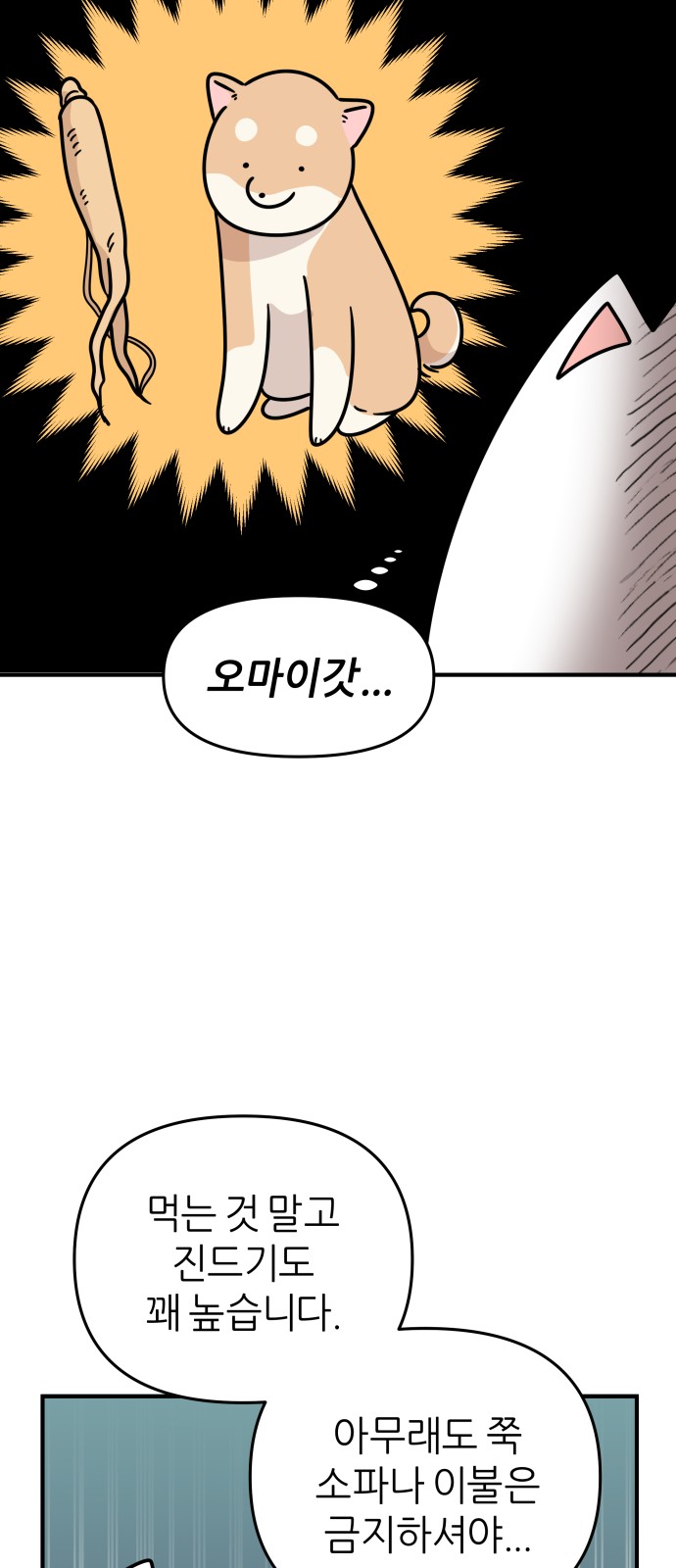 18 페이지