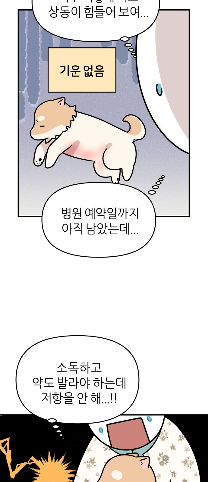 31 페이지