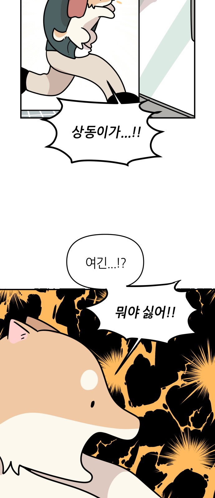33 페이지