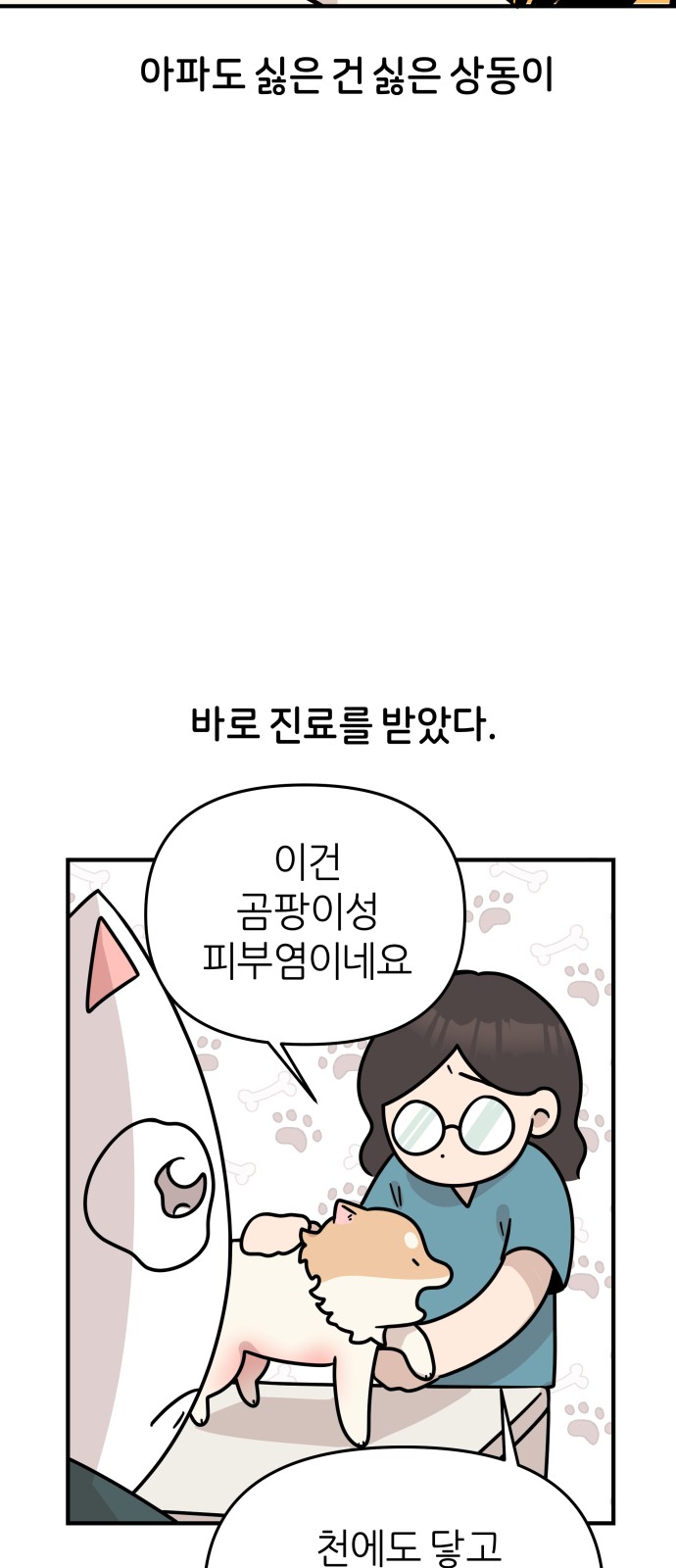 34 페이지