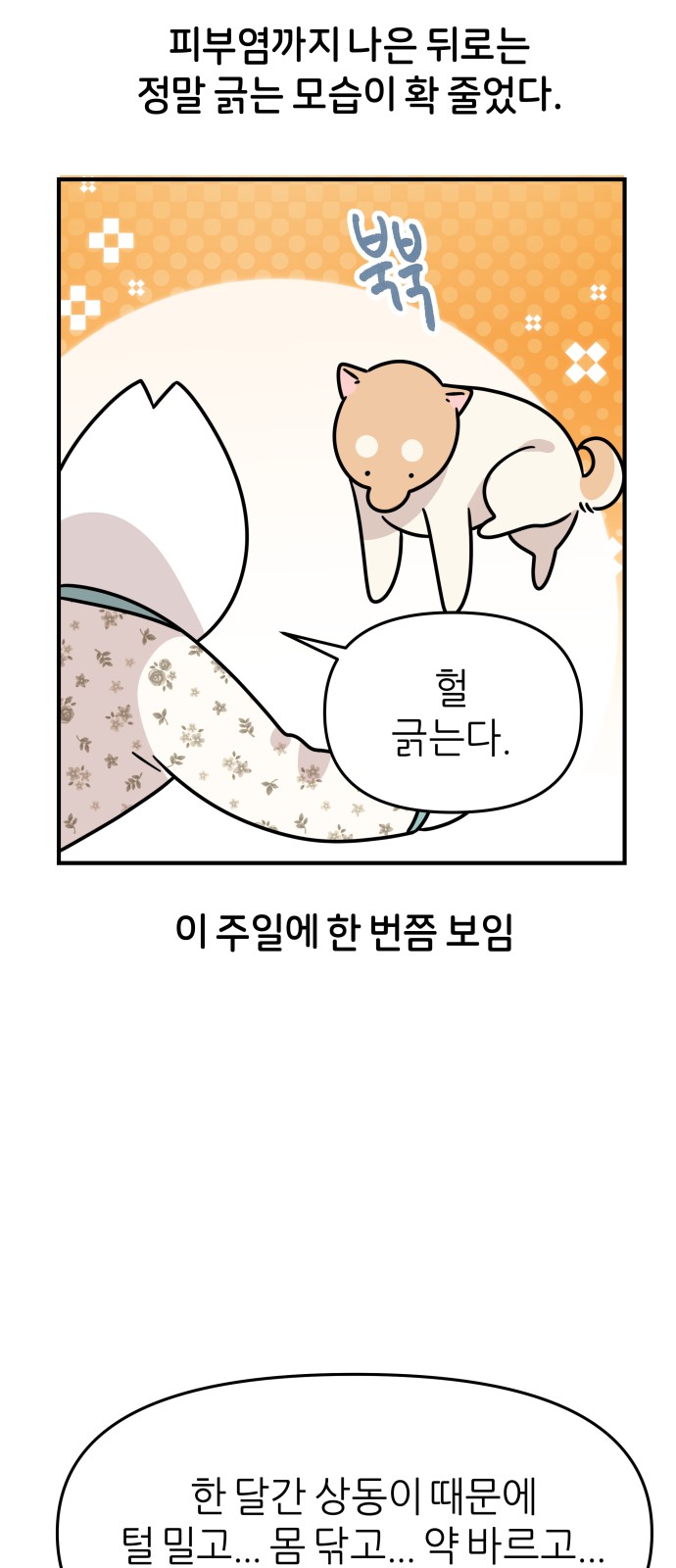 41 페이지