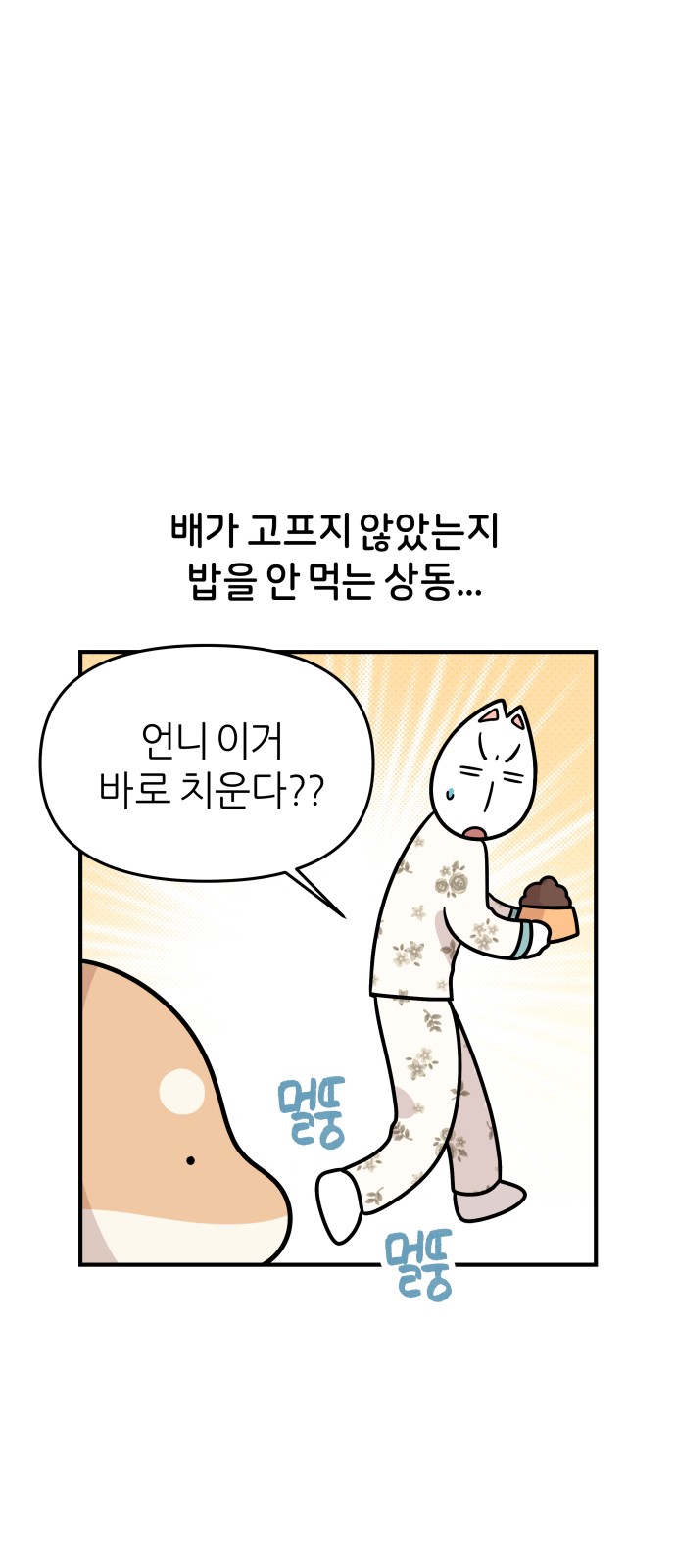 11 페이지