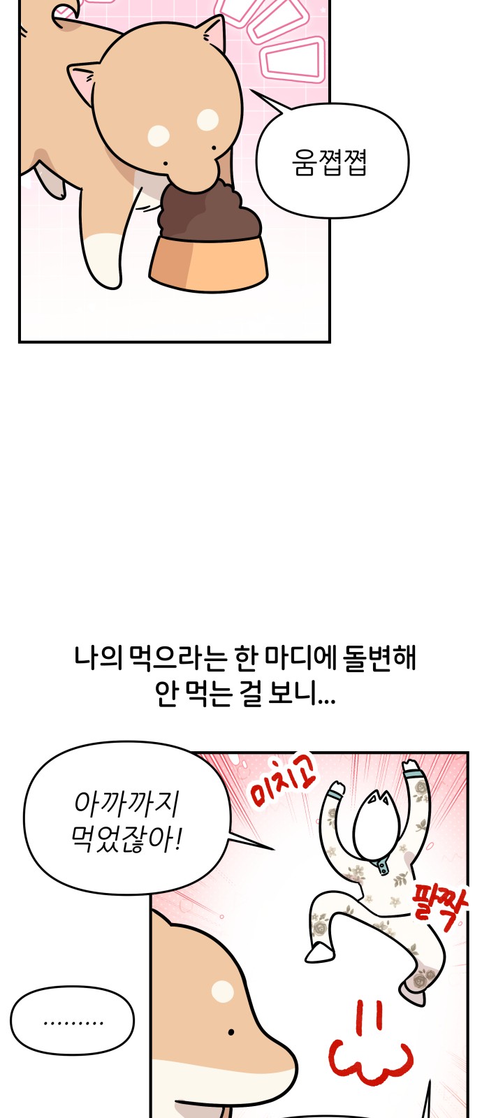 16 페이지