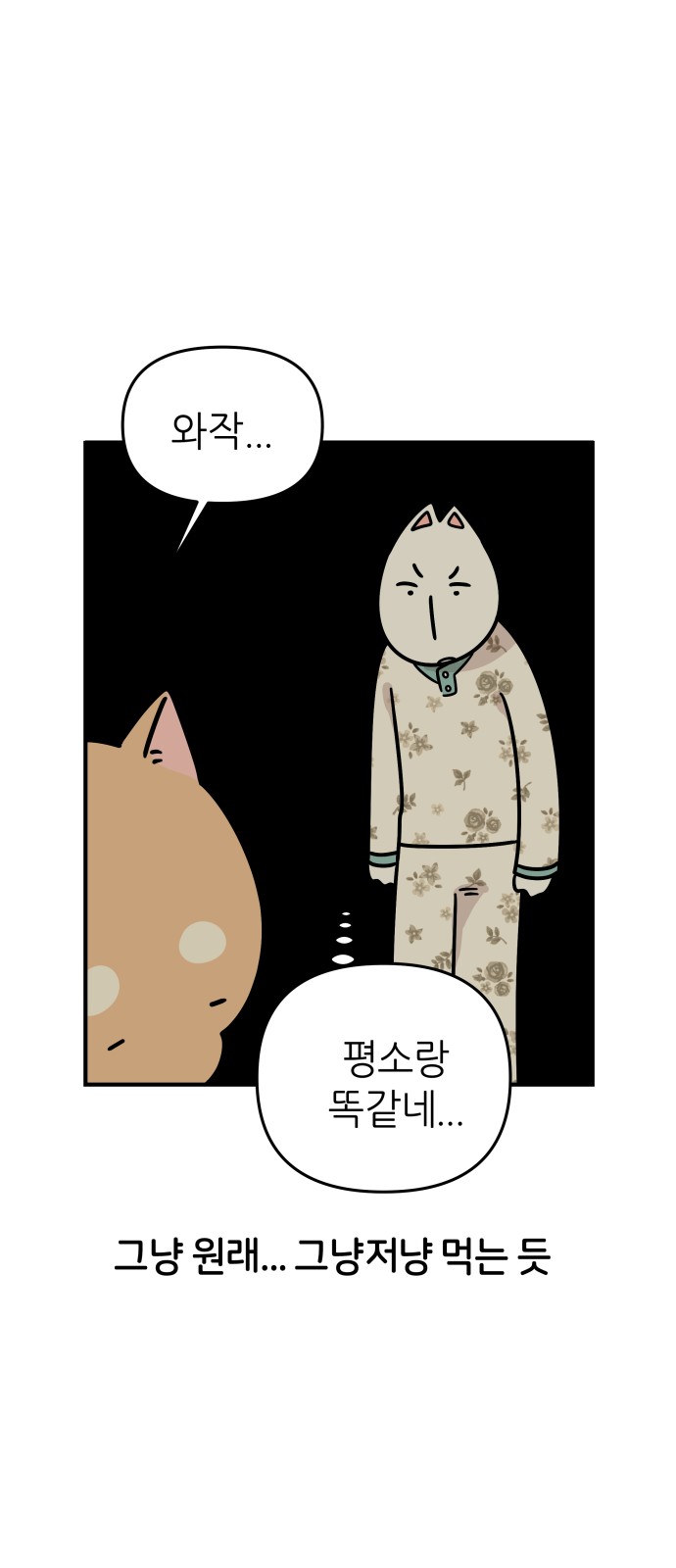23 페이지