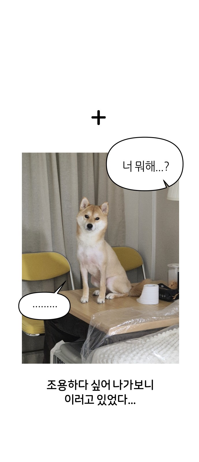 42 페이지