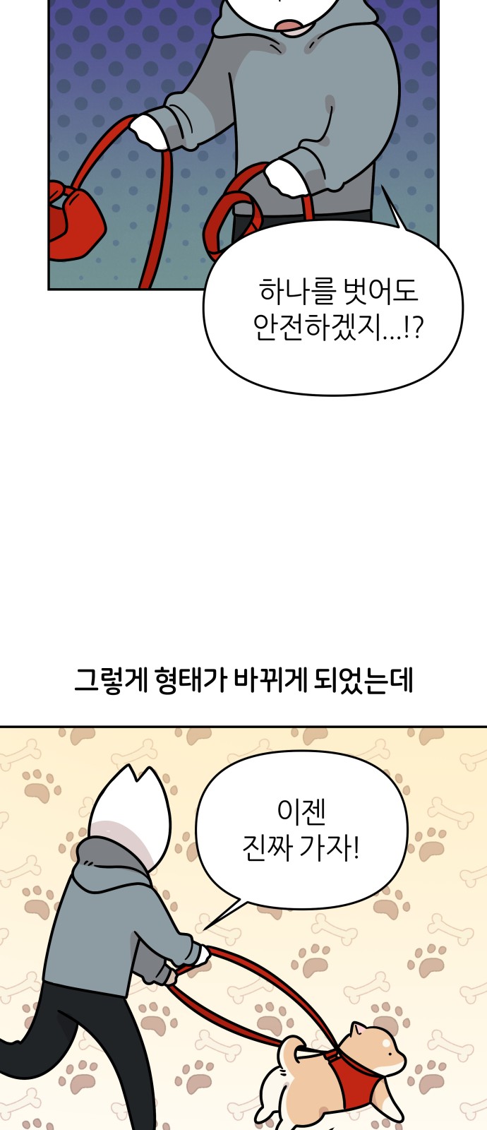 11 페이지