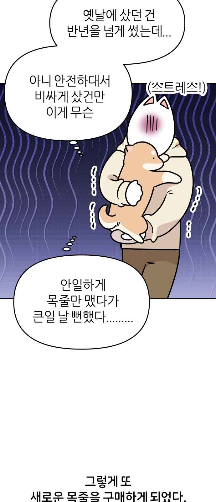 29 페이지