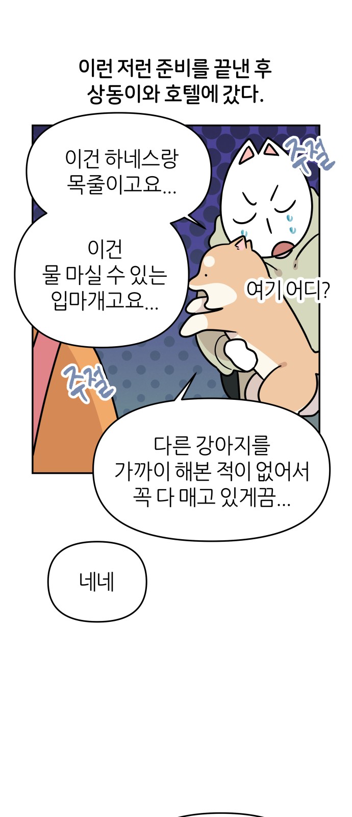 14 페이지