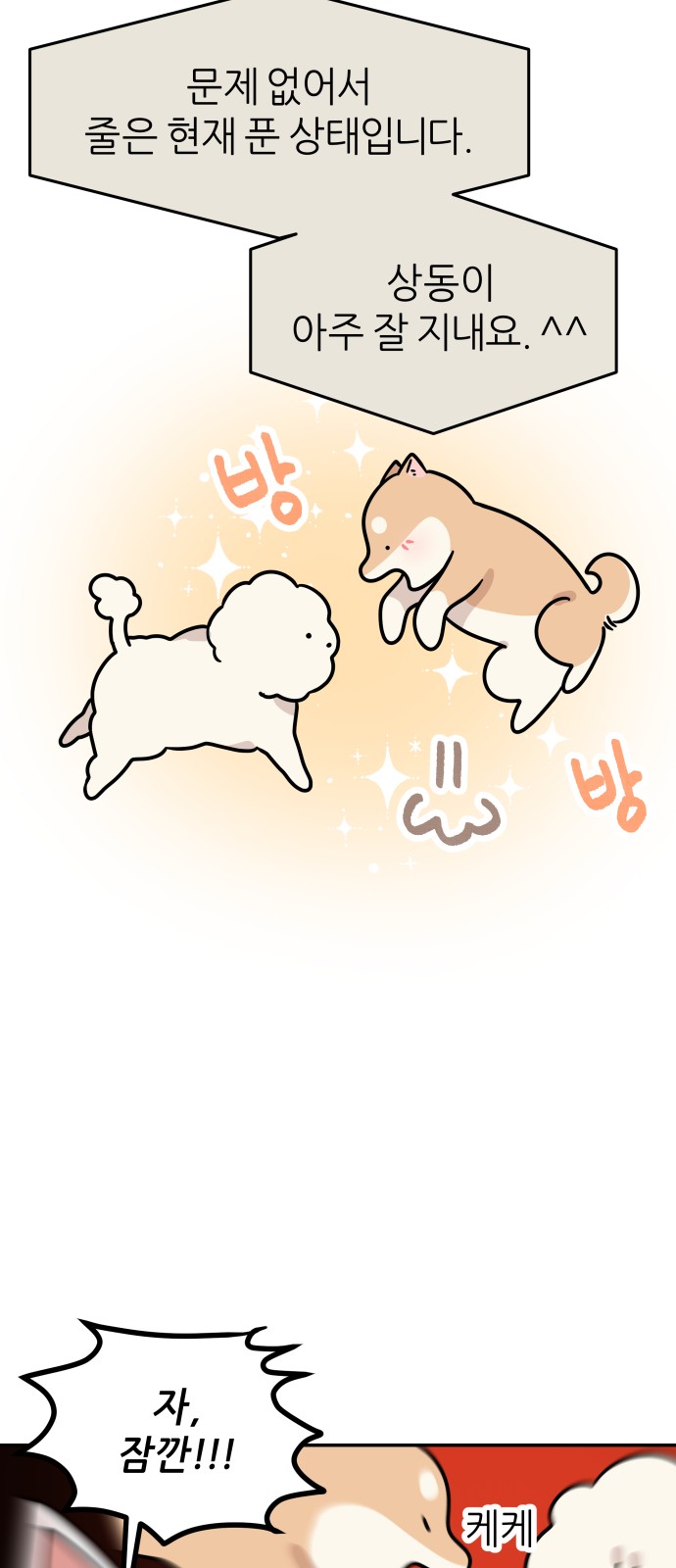 19 페이지