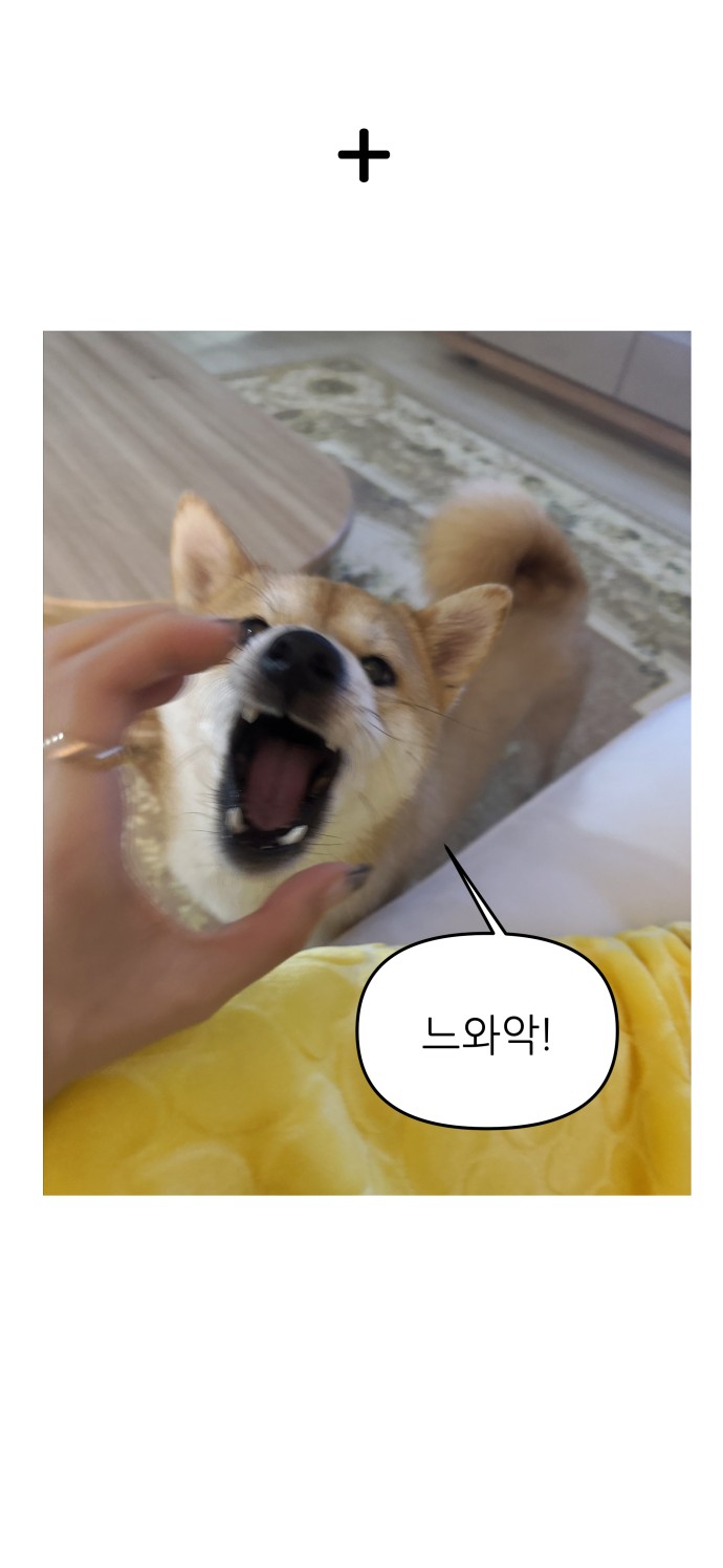 42 페이지