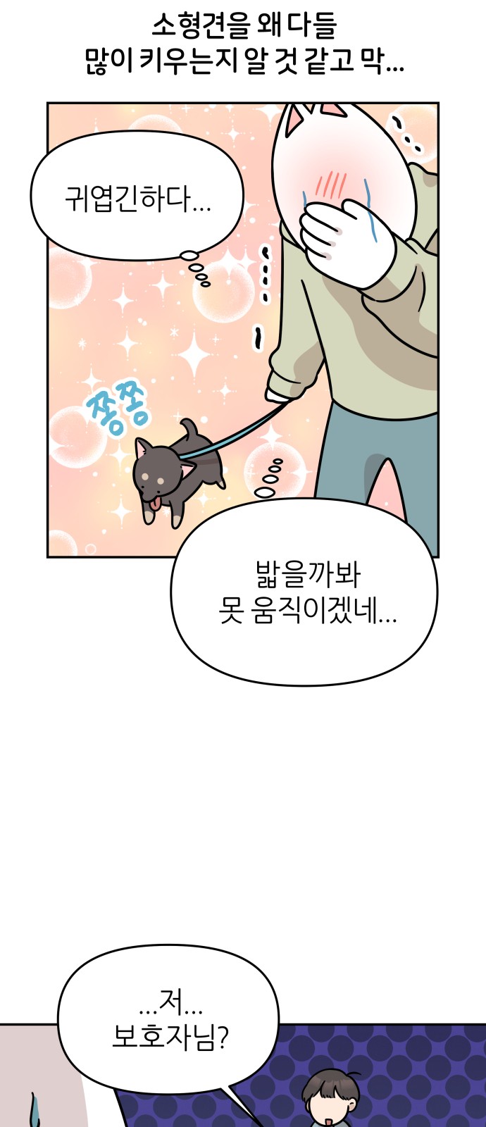 14 페이지