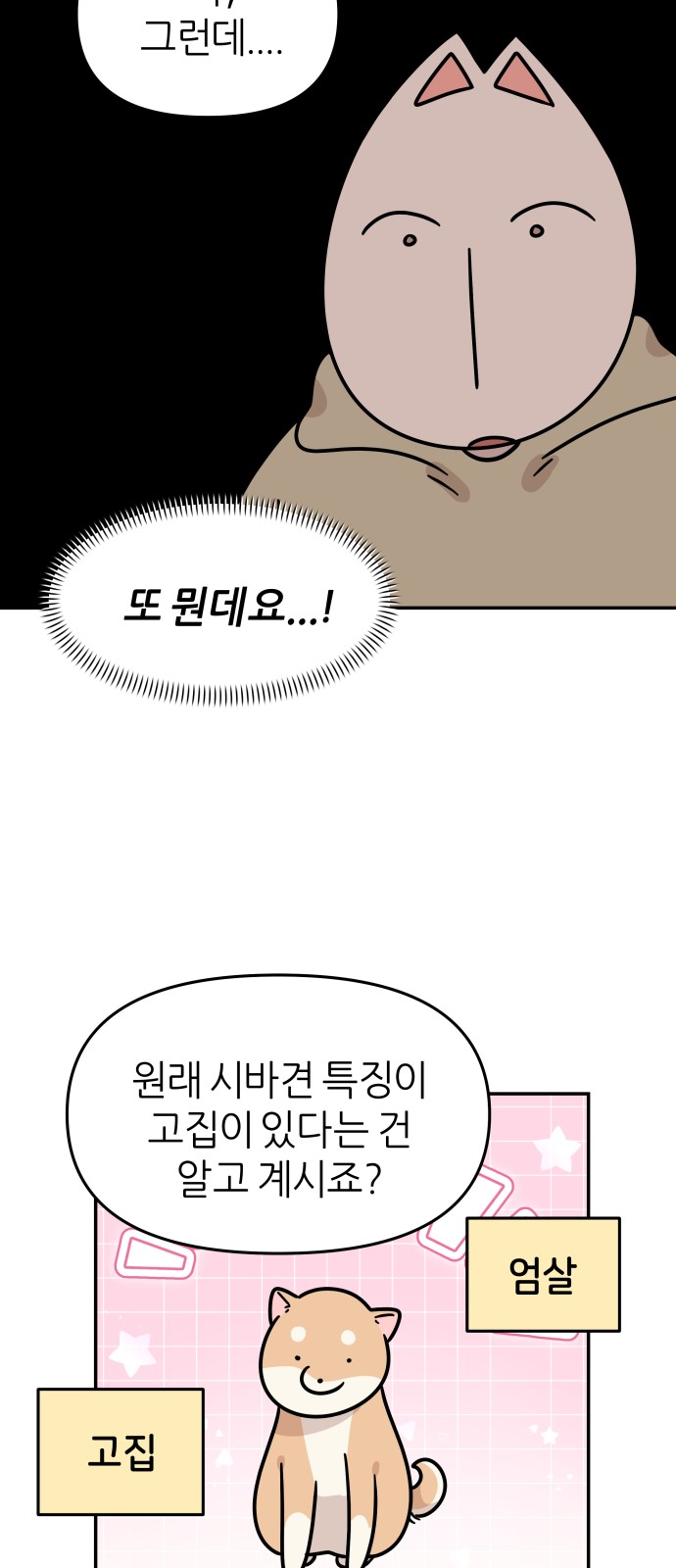 24 페이지