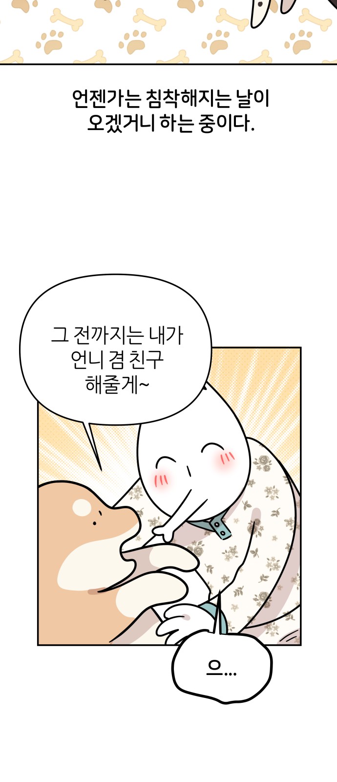 40 페이지