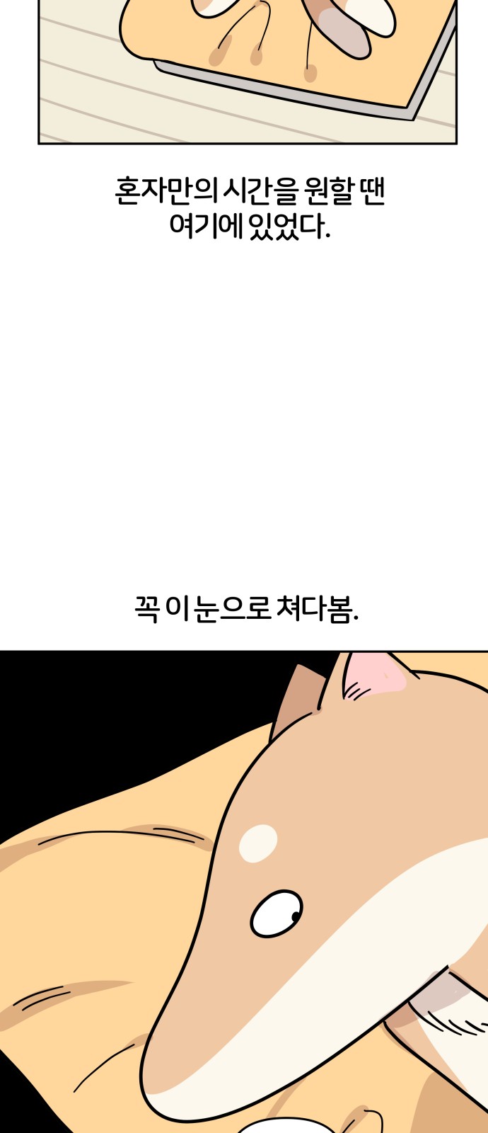 46 페이지