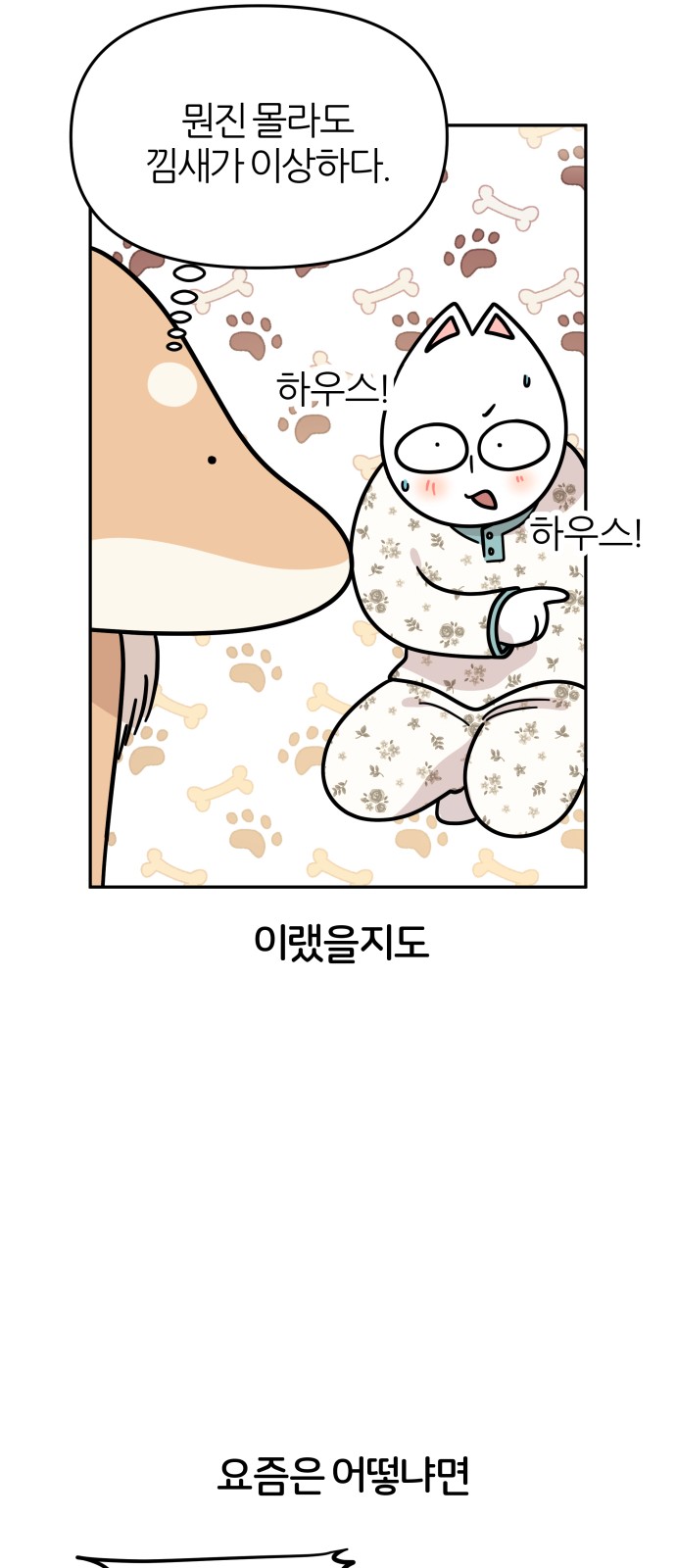 50 페이지