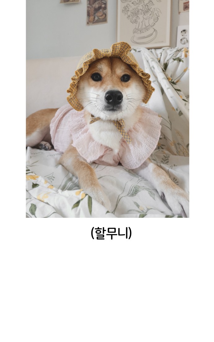 55 페이지